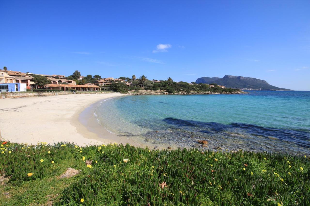 Le Case Del Golfo - Your House In Sardinia Гольфо-Аранчи Экстерьер фото